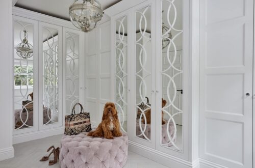 Dressing room with mirrored doors and a dog